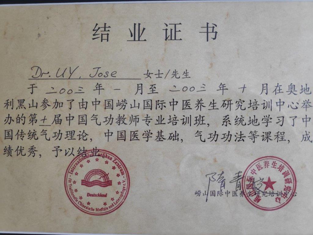 Taiji Zertifikat (Chinesisch)